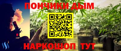крисы Краснодар