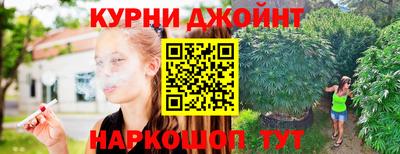 крисы Краснодар