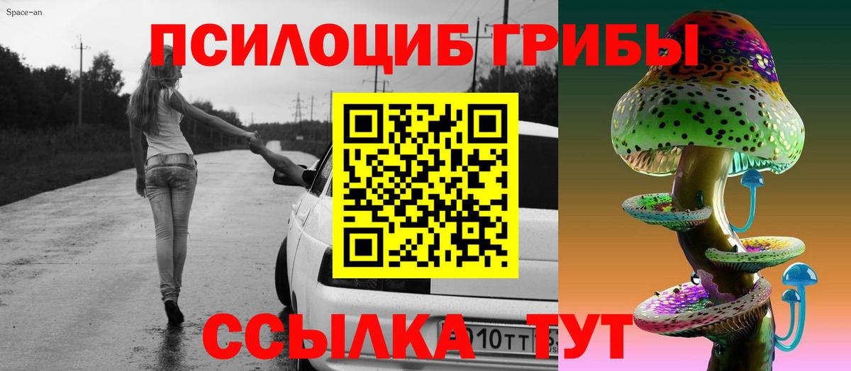 Галлюциногенные грибы прущие грибы Каменка